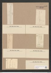 Synedra ulna (Nitzsch) Ehr. (de-Toni-Nr.: Genus 66, Species 2584) Zeichnungen Sammlung Grunow Nr. 5183 (NHMW-BOT-W0373543)